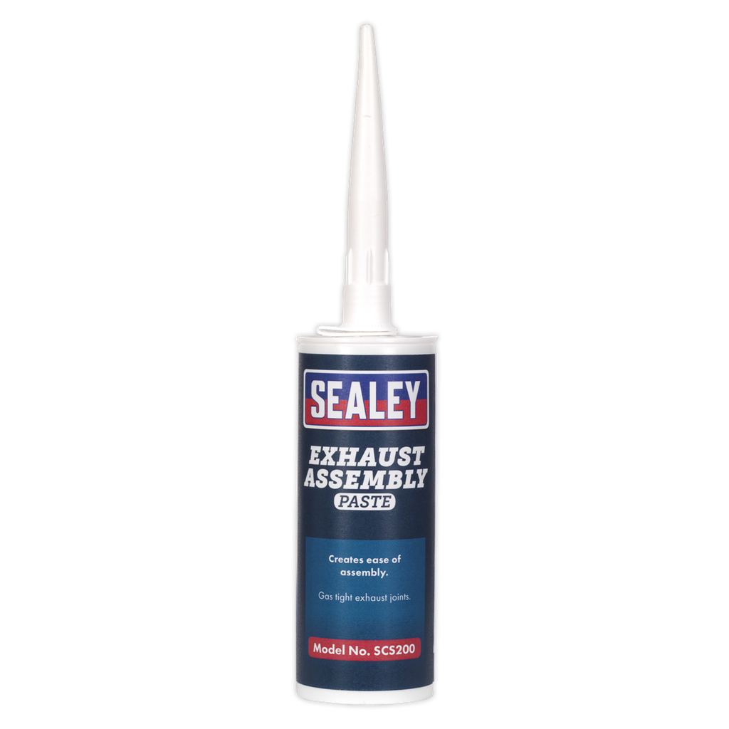 Exhaust Assembly Paste 300g