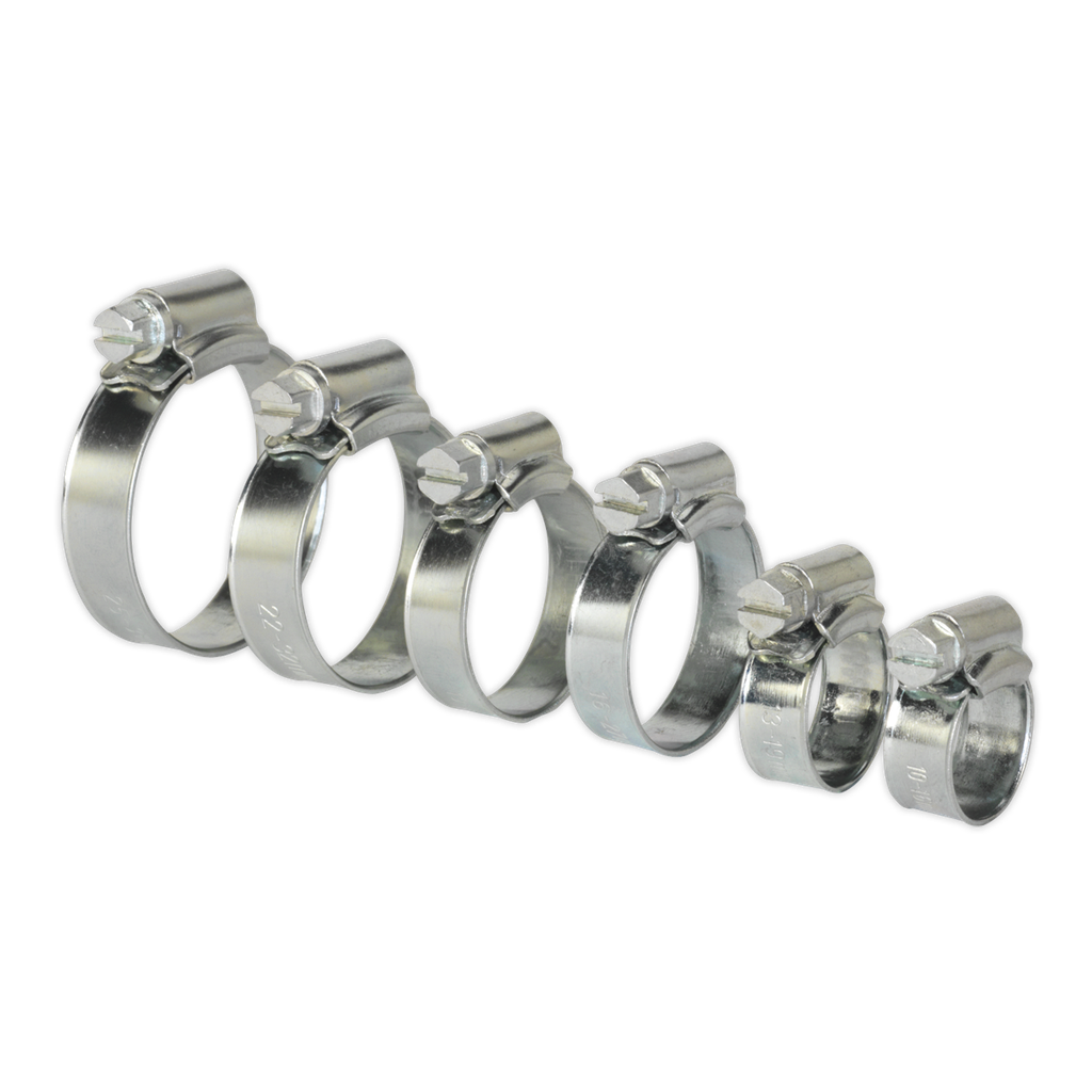 Sealey Zinc Plated Hose Clip Assortment 8-29mm 30pc