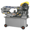 Sealey Horizontal Bandsaw with Hydraulic Arm 300mm