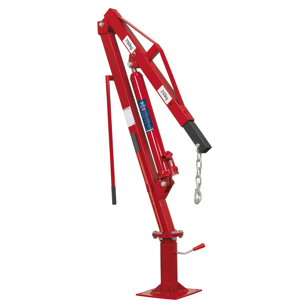 Sealey Static Mounted Crane 750kg