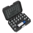 Locking Wheel Nut Key Set for BMW & Mini 21pc