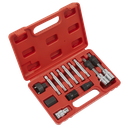 Sealey Alternator Freewheel Removal Set 13pc