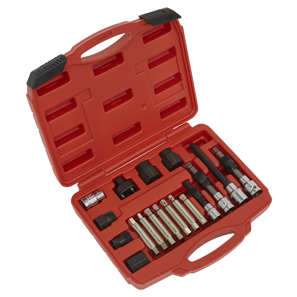Sealey Alternator Freewheel Pulley Removal Set 18pc