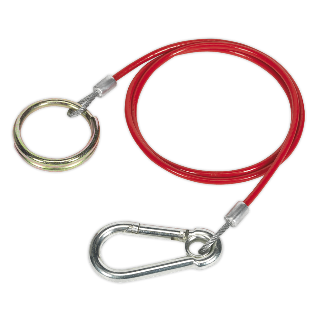 Sealey Breakaway Cable 1m x 3mm