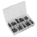 Sealey Fir Tree Clip Assortment - Pack of 100