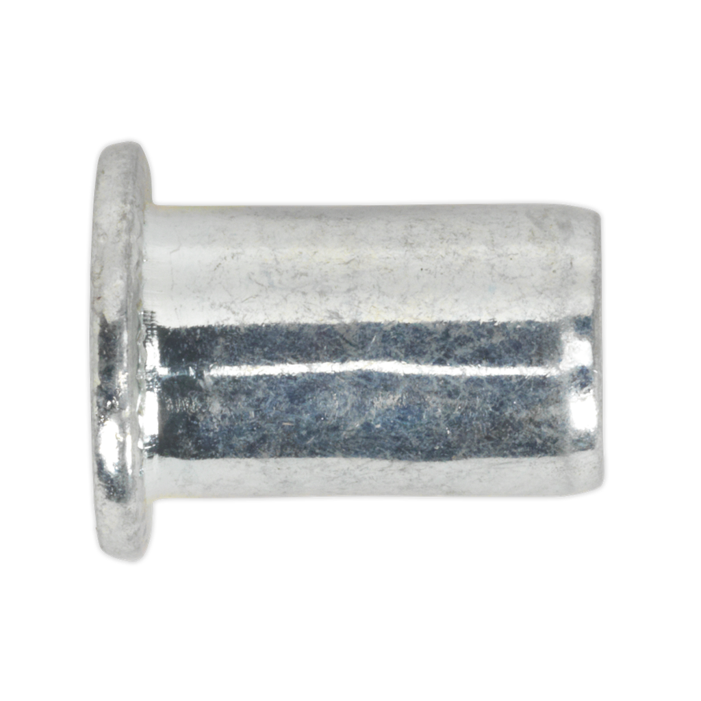 Regular Threaded Insert (Rivet Nut) M6 - Pack of 50