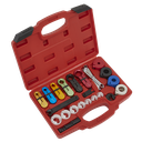 Sealey Fuel & Air Conditioning Disconnection Tool Kit 21pc