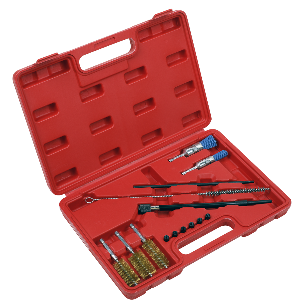 Sealey Injector Bore Cleaning Brush Set 14pc