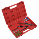 Sealey Injector Bore Cleaning Brush Set 14pc