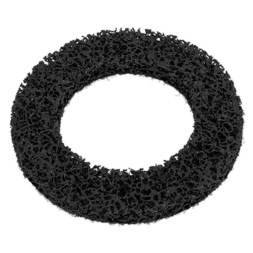 Sealey Cleaning Disc for VS8001