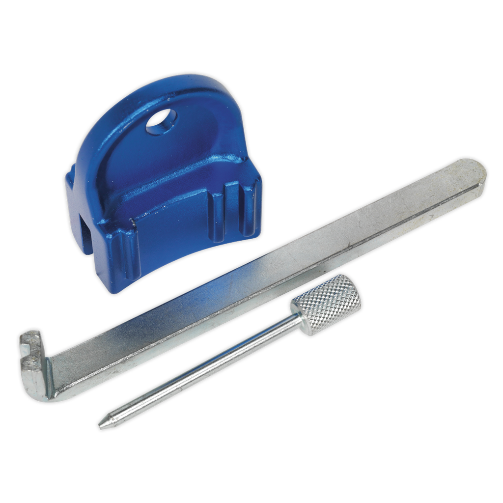 Sealey Petrol Engine Timing Tool Kit - for GM, Saab, Chevrolet  