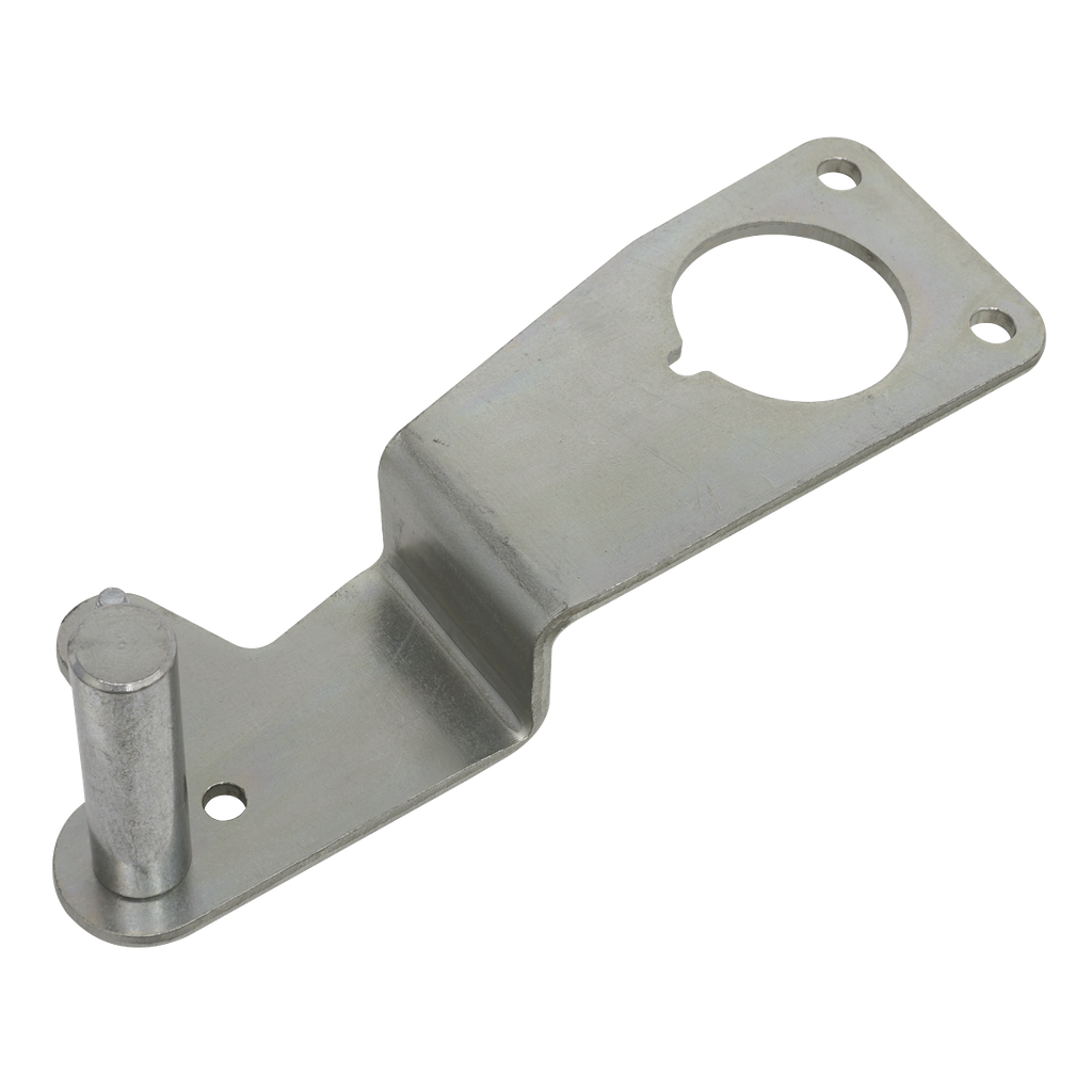 Sealey Crankshaft Holding Tool - for BMW N47/N57 2.0/3.0 - Chain