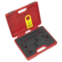 Petrol Engine Timing Tool Kit - Audi 4.2 V8 - Chain Drive