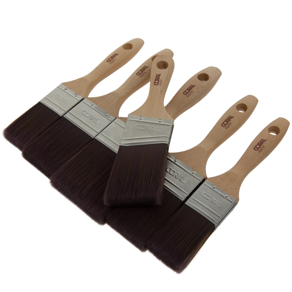 Coral Aspire Paint Brush Set 6 Piece