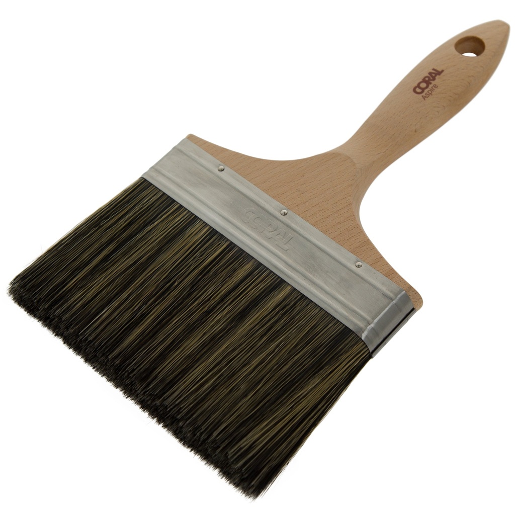 Coral Aspire 6" Wall Paint Brush