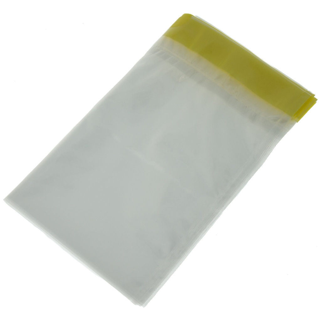 Coral Paintwiz 2.5 Litre Paint Kettle Liners with Coreflex for E