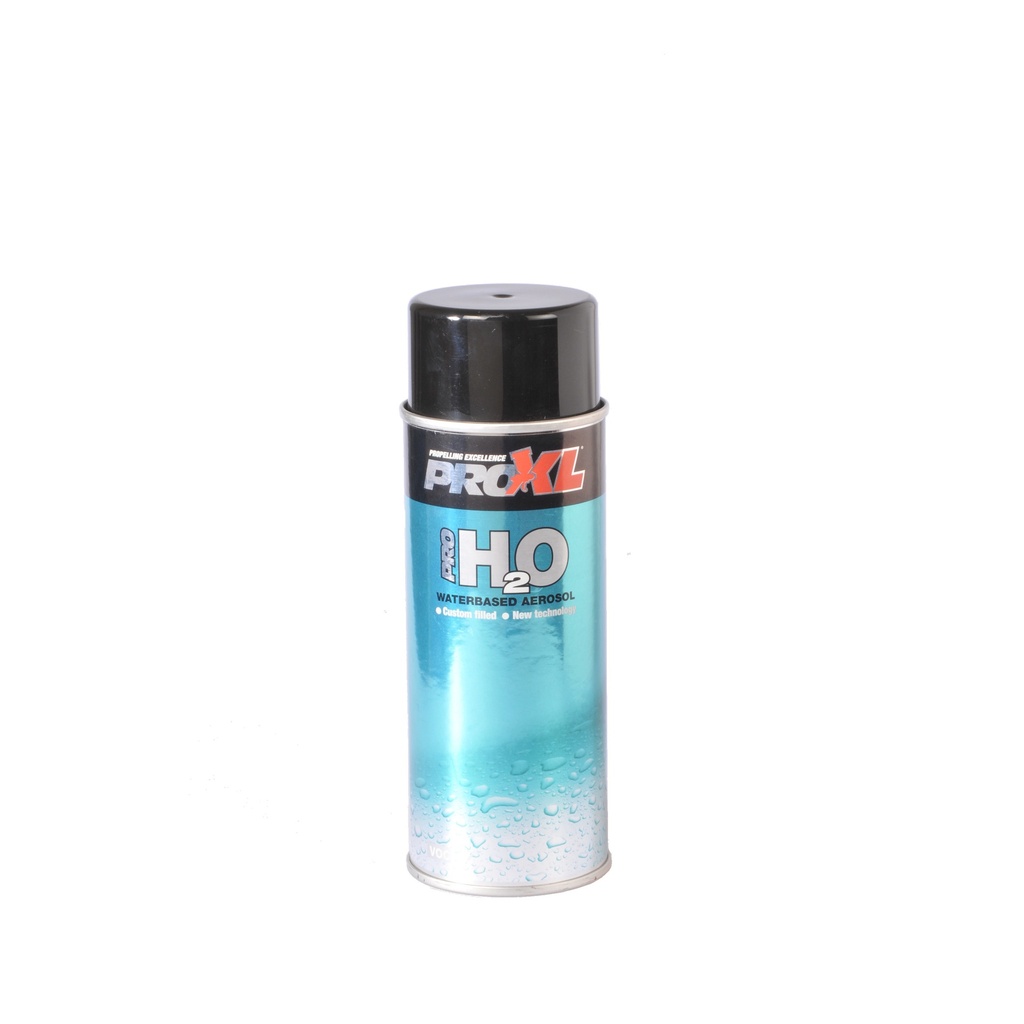 WATERBASED PRE-GASSED AEROSOL (300ML)