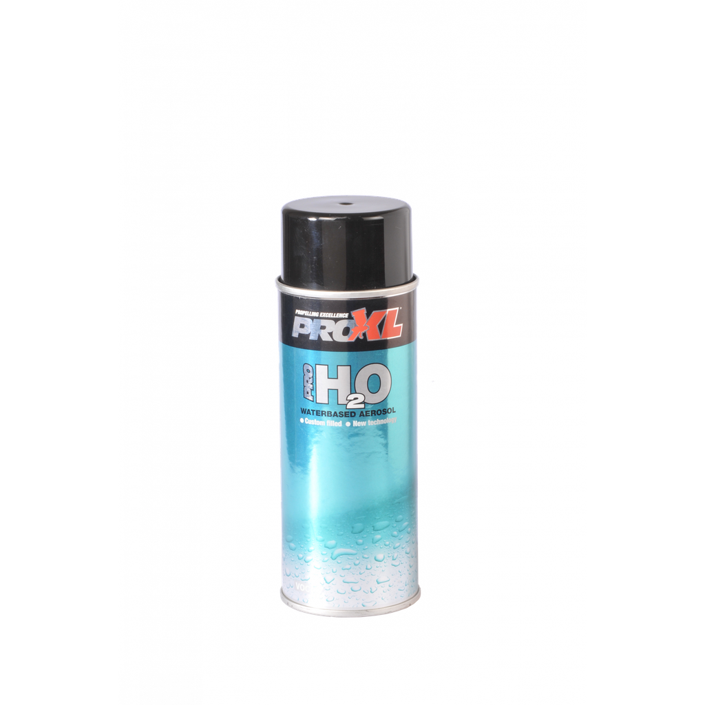 WATERBASED PRE-GASSED AEROSOL : VERSION A (300ML)