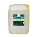 CarTec Royal Forte 10ltr + IK9 Sprayer + Maxshine Measuring Jug