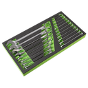 Siegen Combination Spanner Set with Tool Tray 19pc