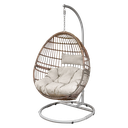 Dellonda Single Swinging Egg Chair with Cushion