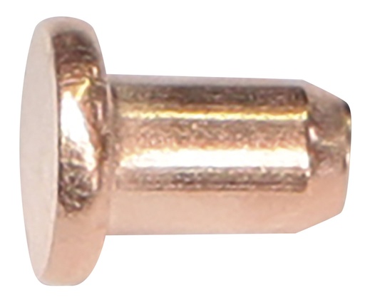 [049352] GYS 100 RIVETS DIAM. 3 x 4.5