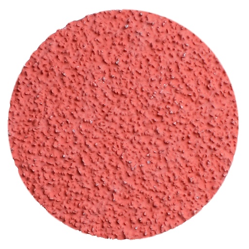 [8090505036] Quick Disc 50mm CER 36, 50/Pack