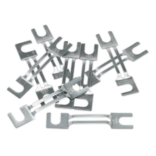 [120/802131] Sealey 100A Fuse 99 x 20mm, Large - Pack of 10