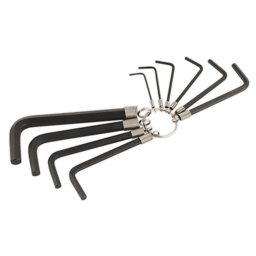 [AK6148] Premier Hex Key Set on Ring 10pc