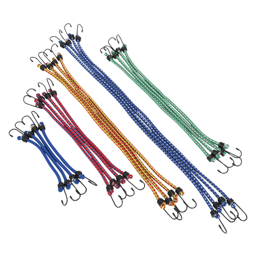 [BCS20] Sealey Elastic Cord Set 20pc