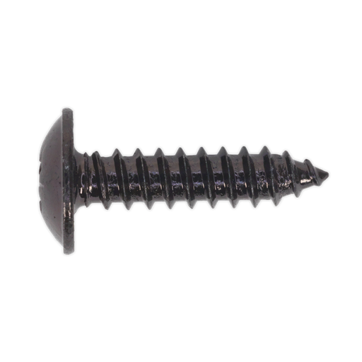 [BST4819] Sealey Self-Tapping Pozi Flanged Head Screw 4.8 x 19mm, Black - Pack of 100