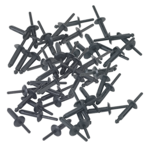 [PR002] Plastic Rivet 6.3 x 25.2mm - Pack of 50