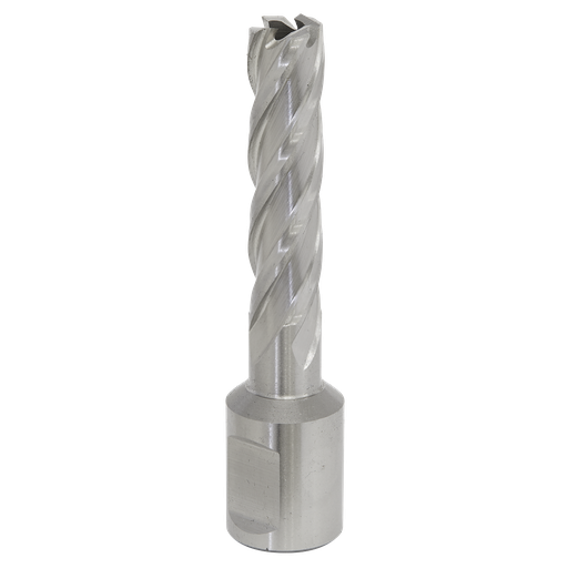 [RBHSS12L] Sealey Worksafe® 12mm HSS Mag Drill Bit Cut Depth 50mm