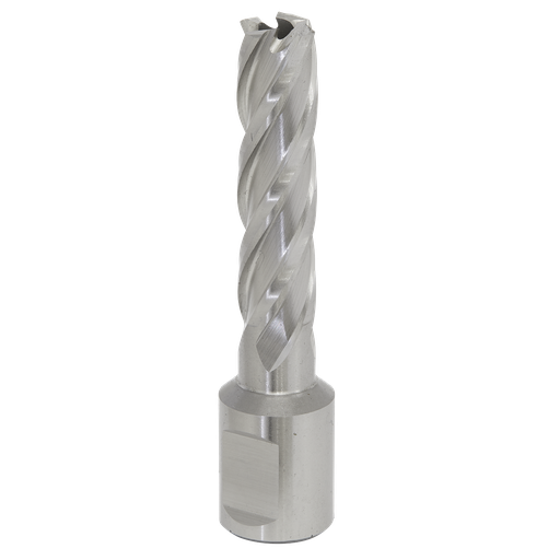 [RBHSS13L] Sealey Worksafe® 13mm HSS Mag Drill Bit Cut Depth 50mm