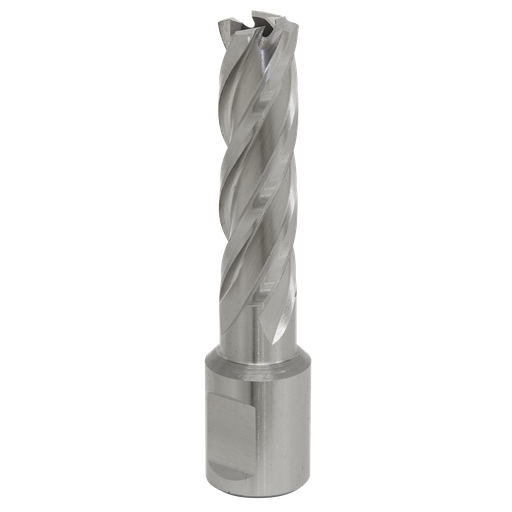 [RBHSS14L] Sealey Worksafe® 14mm HSS Mag Drill Bit Cut Depth 50mm