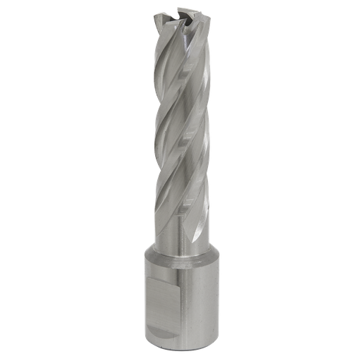 [RBHSS15L] Sealey Worksafe® 15mm HSS Mag Drill Bit Cut Depth 50mm