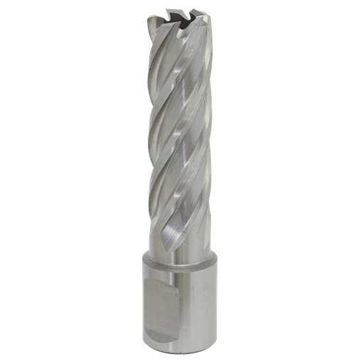 [RBHSS16L] Sealey Worksafe® 16mm HSS Mag Drill Bit Cut Depth 50mm