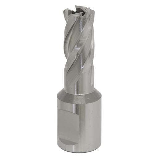 [RBHSS16S] Sealey Worksafe® 16mm HSS Mag Drill Bit Cut Depth 25mm