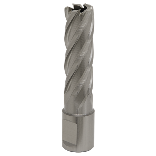 [RBHSS17L] Sealey Worksafe® 17mm HSS Mag Drill Bit Cut Depth 50mm