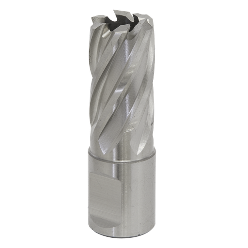 [RBHSS17S] Sealey Worksafe® 17mm HSS Mag Drill Bit Cut Depth 25mm