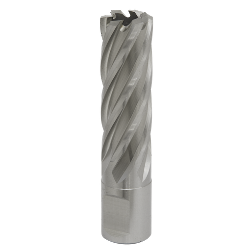 [RBHSS19L] Sealey Worksafe® 19mm HSS Mag Drill Bit Cut Depth 50mm