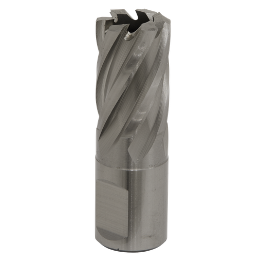 [RBHSS19S] Sealey Worksafe® 19mm HSS Mag Drill Bit Cut Depth 25mm