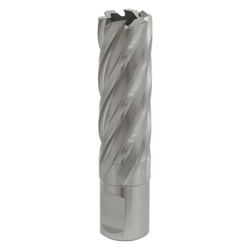 [RBHSS20L] Sealey Worksafe® 20mm HSS Mag Drill Bit Cut Depth 50mm