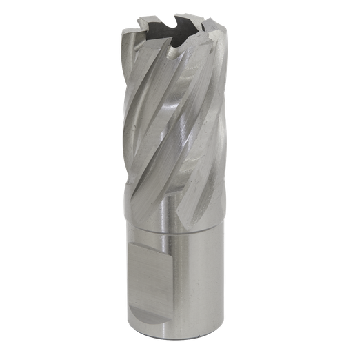[RBHSS21S] Sealey Worksafe® 21mm HSS Mag Drill Bit Cut Depth 25mm