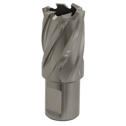 [RBHSS22S] Sealey Worksafe® 22mm HSS Mag Drill Bit Cut Depth 25mm