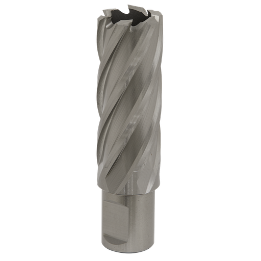 [RBHSS23L] Sealey Worksafe® 23mm HSS Mag Drill Bit Cut Depth 50mm