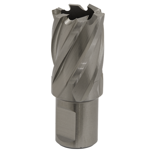 [RBHSS23S] Sealey Worksafe® 23mm HSS Mag Drill Bit Cut Depth 25mm
