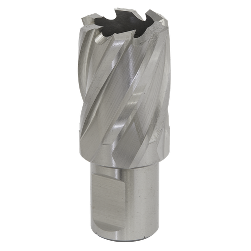 [RBHSS25S] Sealey Worksafe® 25mm HSS Mag Drill Bit Cut Depth 25mm