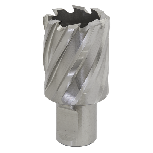[RBHSS29S] Sealey Worksafe® 29mm HSS Mag Drill Bit Cut Depth 25mm