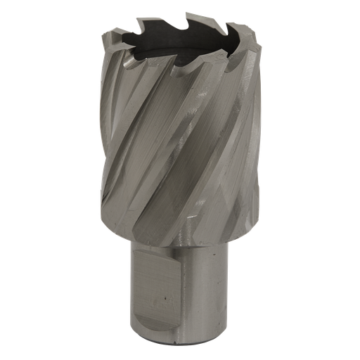 [RBHSS33S] Sealey Worksafe® 33mm HSS Mag Drill Bit Cut Depth 25mm